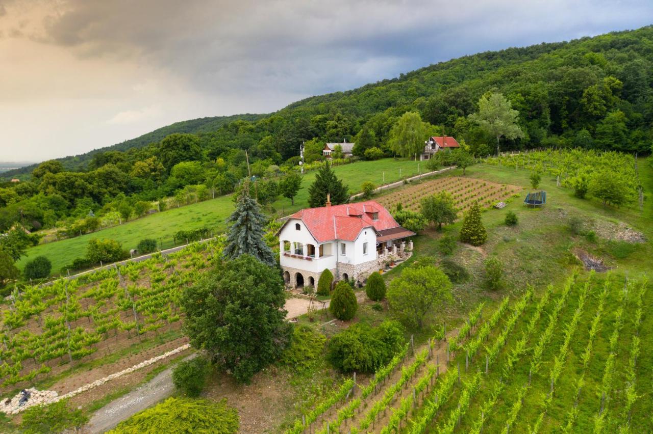 Ter Pince Villa Sumeg Exterior photo